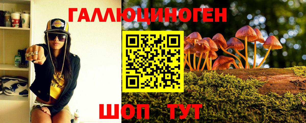 Галлюциногенные грибы Psilocybe  Вход с VPN  Благовещенск  Псилоцибиновые грибы Psilocybine cubensis 